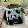 Dekoratív bevonat PANDA