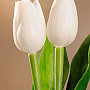 A tulipánok keverik a színeket