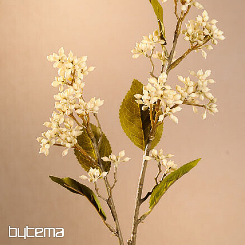 SZÁRAZ VIBURNUM TINUS 58 cm fehér
