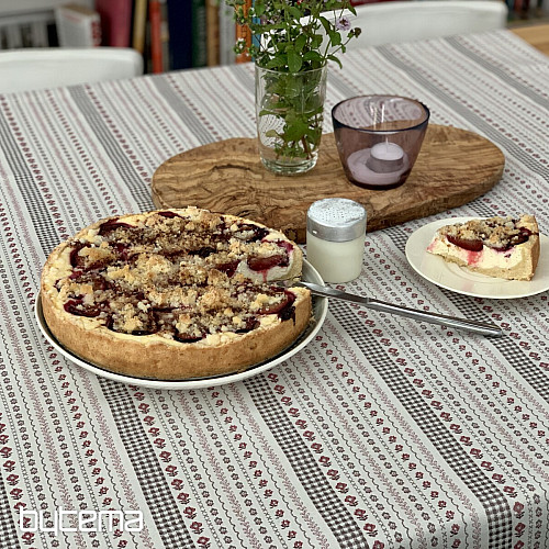 Abrosz és kendő TOSCANA VALERY RIGA BORDON STRIPE