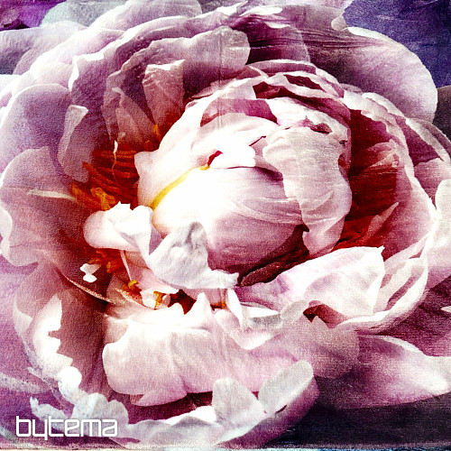 Mikroflanel ágynemű PEONY