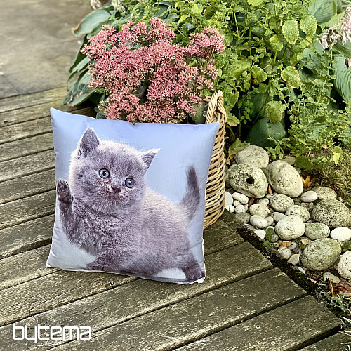Dekoratív takaró KITTY
