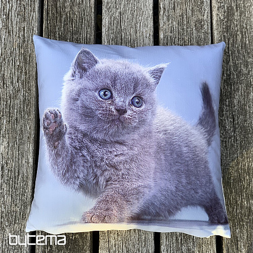 Dekoratív takaró KITTY