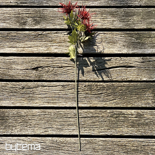 SZÁRAZ VAD TENGERI MAGYAL VÖRÖS