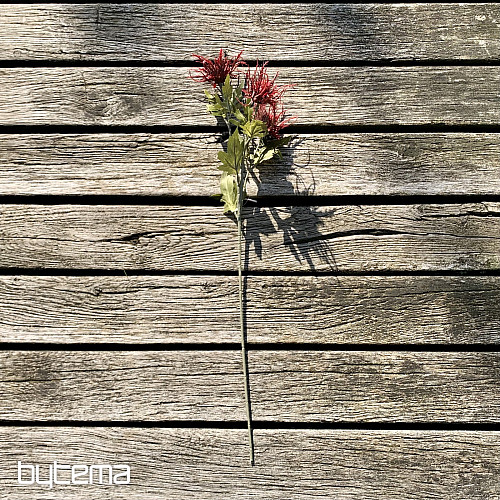 SZÁRAZ VAD TENGERI MAGYAL VÖRÖS