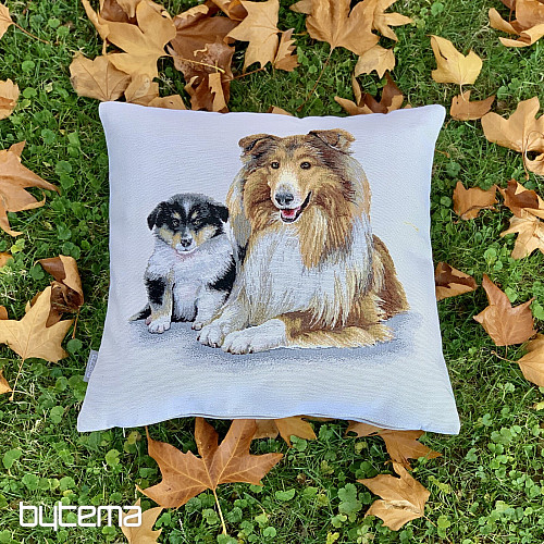 Gobelin huzat COLLI ÉS KUTYA