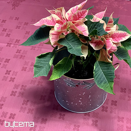 Asztalterítő DAMASZK virágok bordó 120x140