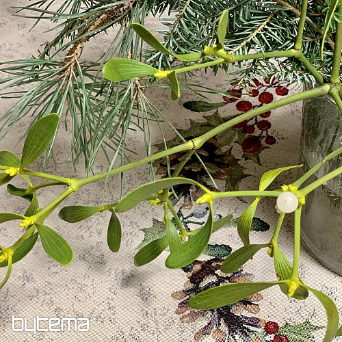 Karácsonyi gobelin terítő kerek PINE FENYŐ és ISTLETOE