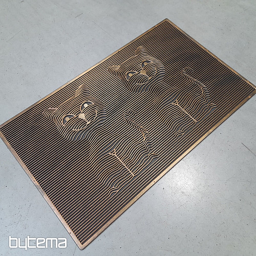 Gumi lábtörlő KÉT MACSKA 3D