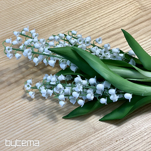 A HOSSZÚ ÉLETŰ LILIÓ