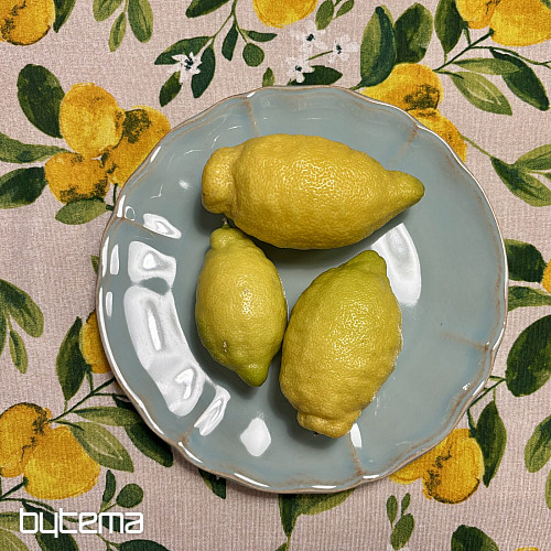 Tányér ALENTEJO 27 cm türkiz