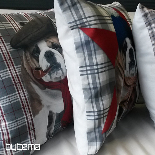 Dekoratív párnahuzat HARRY THE BULLDOG 2