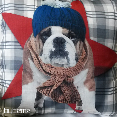 Dekoratív párnahuzat HARRY THE BULLDOG 2
