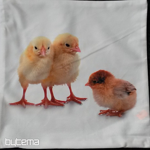 Dekoratív párnahuzat CSIRKE