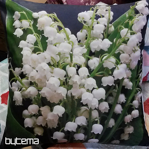LILY OF THE LILY párnahuzat