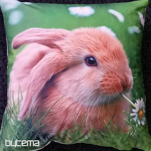 Díszpárnahuzat BUNNY