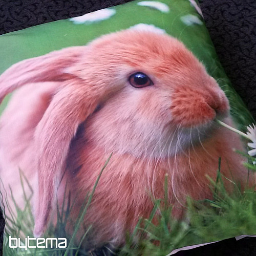 Díszpárnahuzat BUNNY