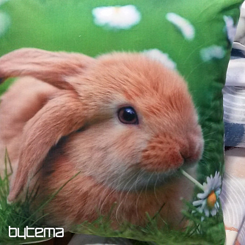 Díszpárnahuzat BUNNY