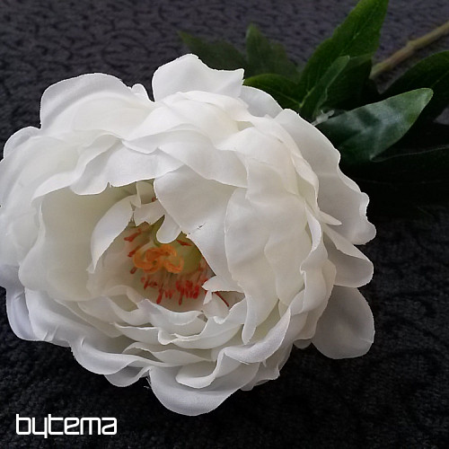 Bazsarózsa nagy 67cm