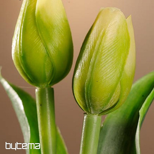 A tulipánok keverik a színeket