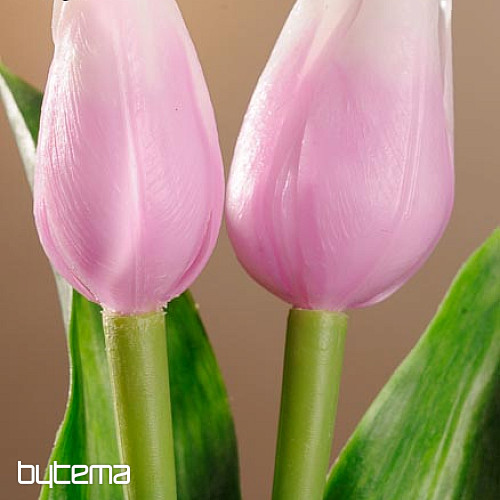 A tulipánok keverik a színeket