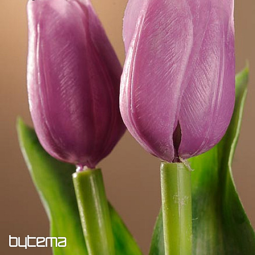 A tulipánok keverik a színeket
