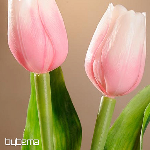 A tulipánok keverik a színeket