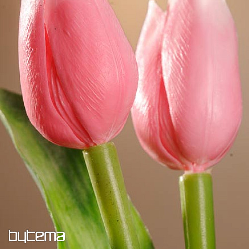 A tulipánok keverik a színeket