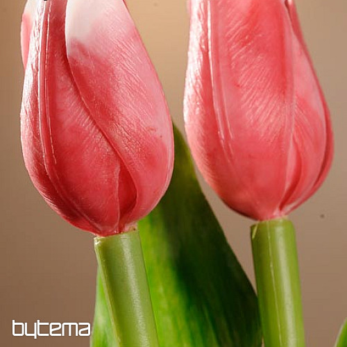 A tulipánok keverik a színeket