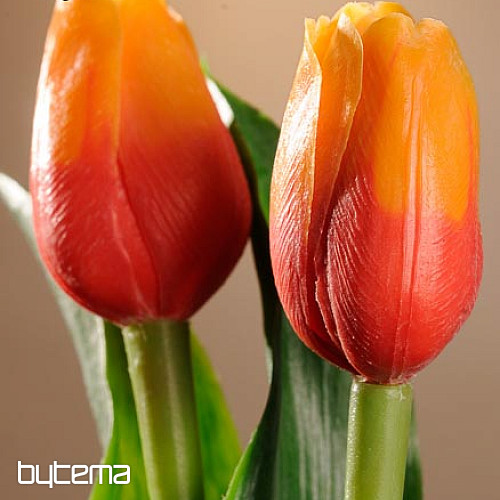 A tulipánok keverik a színeket