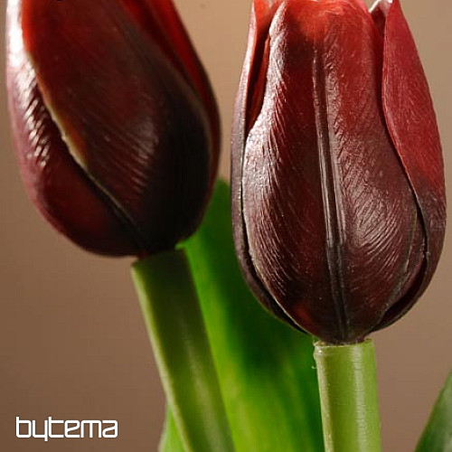 A tulipánok keverik a színeket