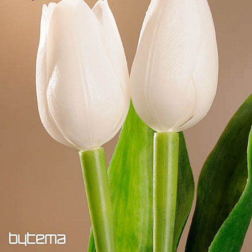 A tulipánok keverik a színeket