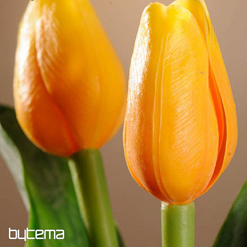 A tulipánok keverik a színeket